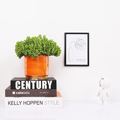Gepege Ceramic Plant Pots for Indoor Plants, Planters with Drainage Holes - Image 6