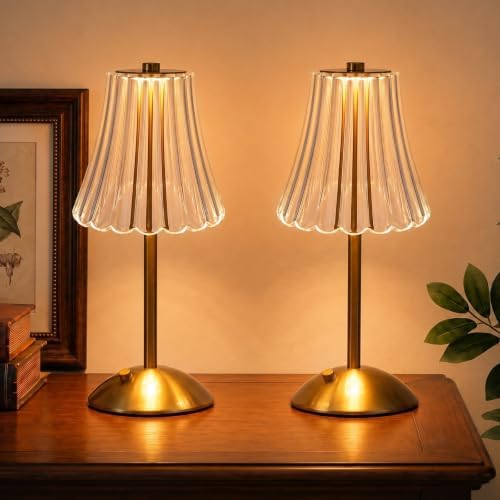 Nusogon 2 Pack Rechargeable Cordless Table Lamp, Touch Control Desk Lamp by Nusogon