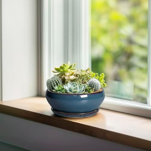 SQOWL Succulent Pots - 6 Inch Ceramic Bonsai Pots, Shallow Planter with Drainage Hole and Saucer, Modern Round Planter for Indoor Plants Outdoor, Flower Cactus Pot, Home Decor, Plant Lover Gift, Blue - Image 3