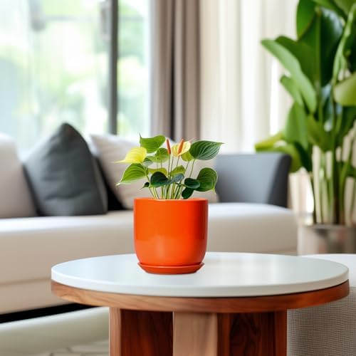 5 Inch Plant Pot - Ceramic Planter for Succulent Cactus Herbs Indoor Plants, Modern Round Flower Pot with Drainage Hole and Saucer, Gifts for Plant Lovers, Patio Office Home Decor, Orange - Image 4