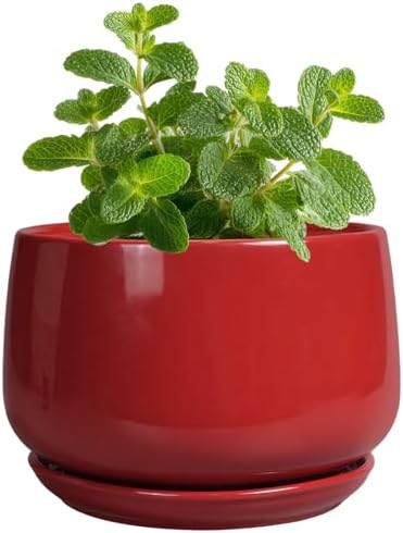 G EPGardening Ceramic Pots for Plants - 4 inch Succulent Pots Indoor Outdoor, Small Planter with Drainage Hole & Tray, Modern Flower Pot, Decorative Round Planter, Living Room Decor, Home Gifts, Red by GEPGardening