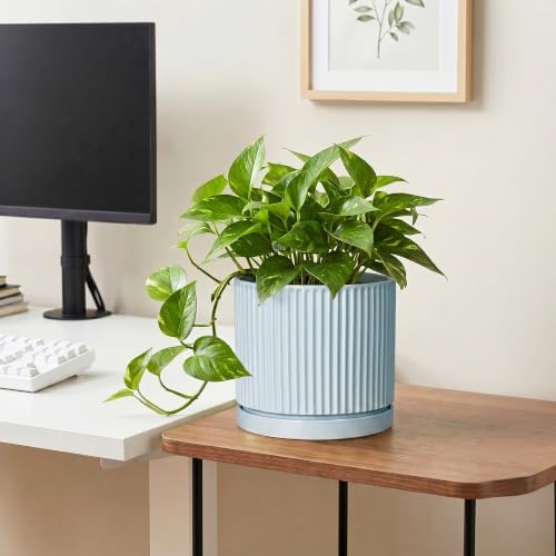 Ceramic Planter, 8 Inch Flower Pots, Round Plant Pot, Light Blue - Image 5
