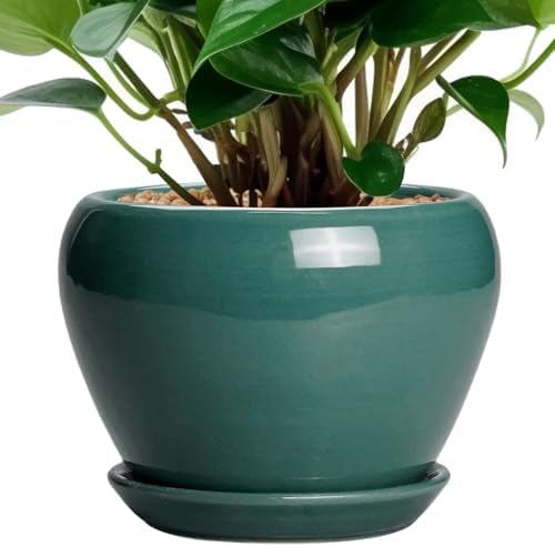Ceramicfor Indoor Plant Pot 6 Inch - Ceramic Planter with Drainage Hole and Saucer, Modern Decorative Indoor Planter for Herb Succulent Plants, Garden Home Decor, Gifts for Plant Lovers, Green by Ceramicfor