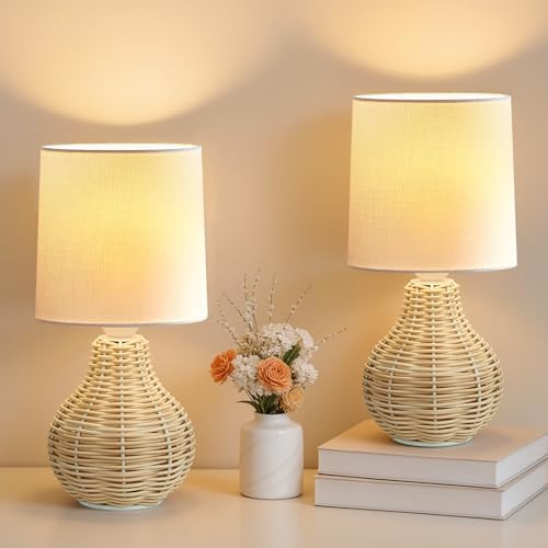 EJIAXIN Rattan Table Lamp Boho Lamps Set of 2-12.5" Mini Farmhouse Wicker Light Rustic End Table Decorative Small Lamps for Small Spaces Bedroom Nightstand Living Room Reading Desk Side Table Lamp by WelcometoEJIAXIN