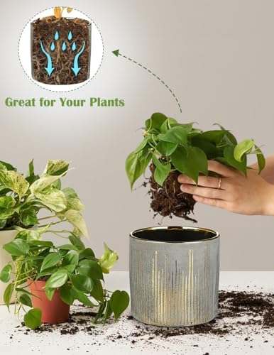 Oairse Small Ceramic Pot for Indoor Plants, 5.3 inch Plant Pot with Drainage Hole Decorative Texture Gold Planter Indoor Outdoor Flower Pots for Succulent Snake Plant Pothos Orchid - Image 4