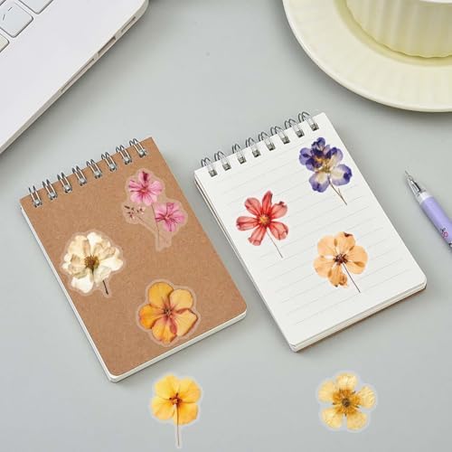 50PCS Transparent Flora Scrapbook Stickers, Vintage Aesthetic Flowers Sticker for Scrapbooks Travel Journal, Vinyl Waterproof for Water Bottles Laptop Phone Scrapbook Supplies DIY Crafts, (Flower-C) - Image 6