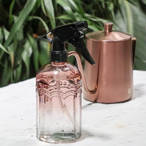OFFIDIX Watering Can for Indoor Plants Long Spout Metal Stainless Steel 21 oz Small Watering Can with 14 oz Glass Plant Mister Spray Bottle for Plants Bonsai - Image 6