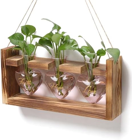 Plant Terrarium Propagation Stations Hydroponics by MTsigns