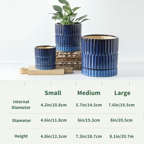 HASENSE Ceramic Pot for Plants, 3-Pack (8/6/4.6 inch) Medium Flower Planter with Drainage Holes & Tray, Rective Glaze Plant Pots Indoor with Ribbed Design, Kithen Home Office Decor, Blue - Image 4