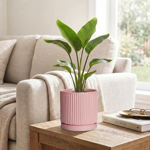 6 Inch Ceramic Flower Pots, Round Plant Pots with Saucer, Pink - Image 5