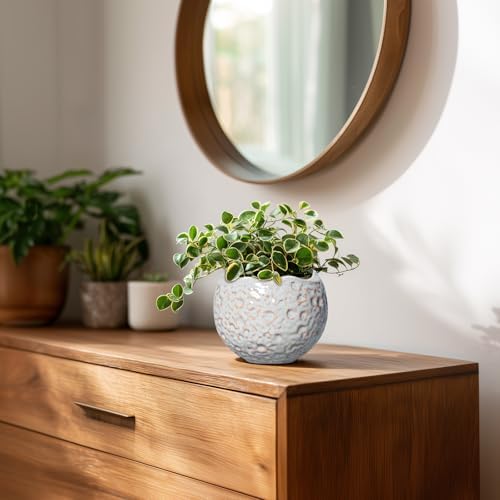 4 Inch Plant Pots, Ceramic Flower Pot for Indoor Plants, Grey - Image 6