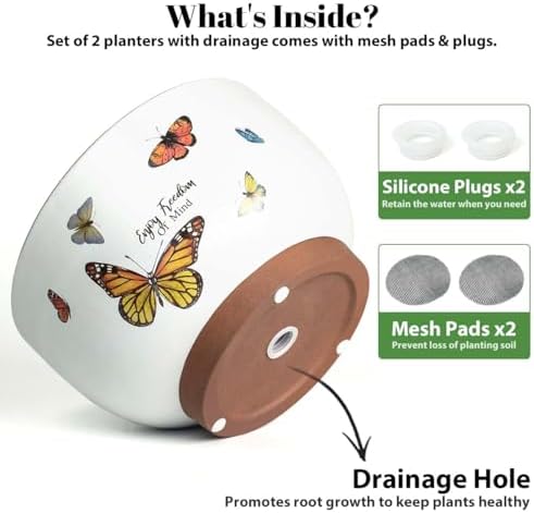 Terracotta Pots, 8+6 Inch Plant Pots, 2 Pcs with Drainage Holes - Image 5
