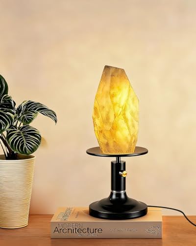 Lightdot Table Lamp for Bedroom Mid Century Modern Black Small Desk Lamp by LightdotLighting