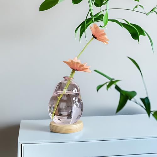 Pink Plant Propagation Cute Bubble Flower Vase Glass Planter Terrarium Jar - Image 6