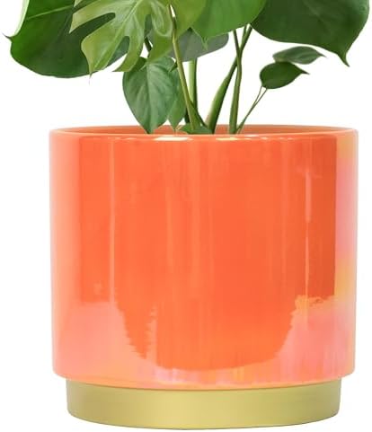 Gepege Peach Indoor Plant Pots for Plants, Large Ceramic Planter with Drainage Hole, 9.6-inch Succulent Orchid Flower Pot - Rainbow Pearl Glaze by Gepege