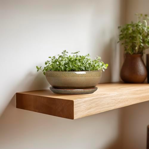SQOWL Bonsai Pots Small - 6 Inch Ceramic Succulent Pots with Drainage Hole and Saucer, Shallow Round Planter for Indoor Plants Outdoor, Ceramic Cactus Planter, Patio Decor, Housewarming Gift, Brown - Image 5