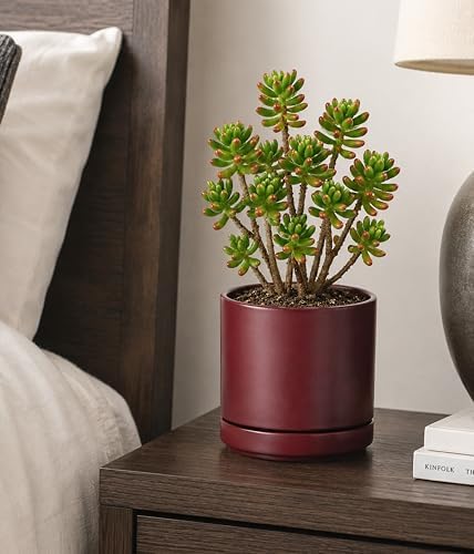 D'vine Dev 6.5 Inch Ceramic Planter Pot, Cordovan, 94-O-C-4 - Image 2