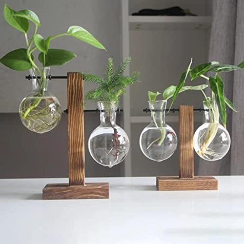 Kingbuy Hydroponic Glass Vase with Retro Wooden Stand - Image 5