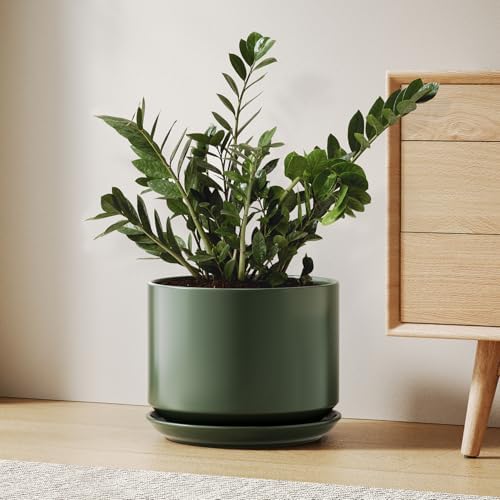 LE TAUCI Ceramic Pots for Plants, 10 Inch Plant Pot with Drainage Hole & Saucer, Sturdy & Modern Planters for Indoor Plants, Includes Mesh Screen, Fits Snake Plant & Monstera, Forest Green by LETAUCI