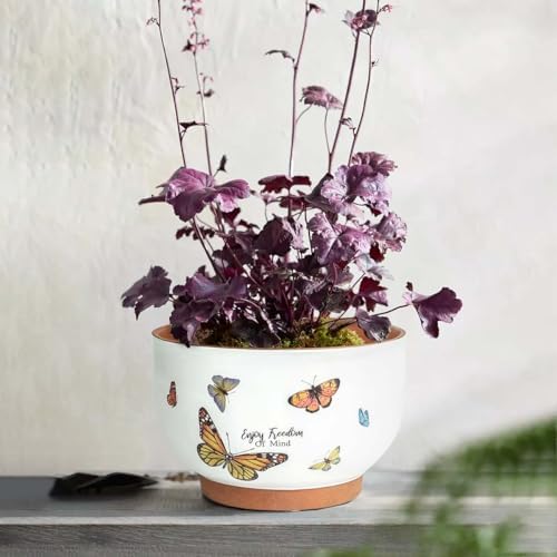 Terracotta Pots, 8+6 Inch Plant Pots, 2 Pcs with Drainage Holes - Image 3