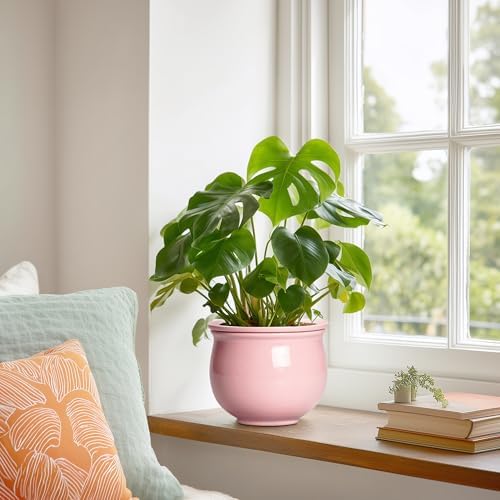 African Violet Pots, 6 Inch Ceramic Easy Self Watering Pots with Absorbent Inner Pot, Round Ceramic Planter for Indoor Plants, Small Flower Pot, Home Decor, Gifts for Plant Lovers, Pink - Image 4