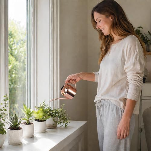 IMEEA Mini Indoor Watering Can for Small Plants, Stainless Steel with Long Spout, 15oz/450ml – Perfect for Desk, Windowsill & Bonsai - Image 3
