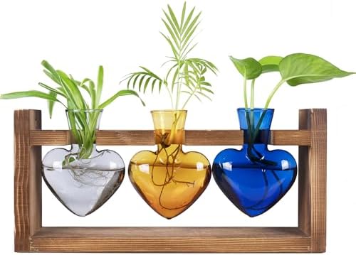 Kingbuy 3-Heart Plant Terrarium Kit with Vintage Wood Stand - Stained Glass Vase Propagation Station, Wall-Mounted & Tabletop Indoor Decor for Home Kitchen Wedding Gift (Grey, Amber, Blue) by Kingbuy
