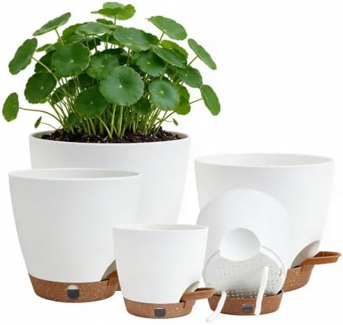 Self Watering Pots for Inoor/Ourdoor Plants 5/5.5/6/6.5/7" Plastic Planter by Montresor