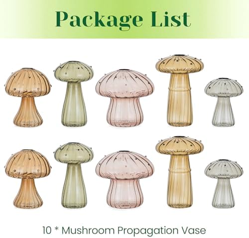 Hewory Plant Propagation Station: 10PCS Fall Glass Mushroom Vase for Flower - Image 6
