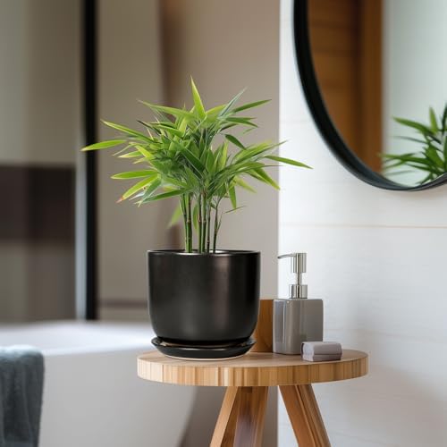 Ceramic Planter 7 Inch - Cylinder Round Modern Indoor Plant Pot for Plants with Drainage Hole and Saucer, Room Home Patio Office Patio Decor, Black - Image 7