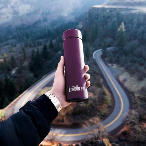 The London Sip Multi-Purpose Travel Mug and Tumbler Fruit Infused Flask Hot and Cold Double Wall Stainless Steel Thermos with Extra-Long Infuser, Purple - Image 2