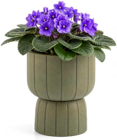 Self Watering Pots for Indoor Plants, 6 Inch Ceramic African Violet Pot by AvyraVelen