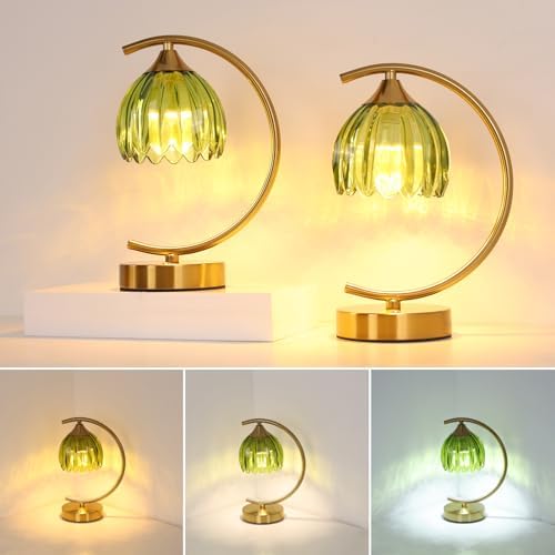 Shenmoyl Set of 2 Tulip Table Lamp, 5200mAh Cordless Touch Control Table Lamp with 3 Color Temps & Stepless Dimming, Rechargeable Battery Table Lamp for Living Room, Bedroom, Office(Green Tulip) by Shenmoyl