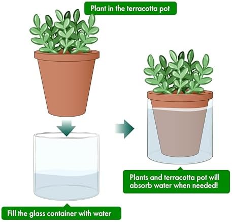 D'vine Dev Self Watering Terracotta Planter Pot, 4 in, 4-Pack, 37-Z-A-1-F - Image 4