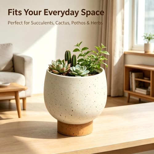 5.5 Inch Cream Speckled Ceramic Planter Pot, Indoor Plant Pot with Tan Base for Home Decor - Image 4