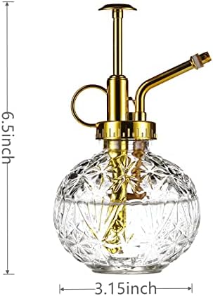 Glass Plant Mister Spray Bottle, 6.5" Clear Glass Water Spray Bottle with Gold Top Pump Small Watering Can, Small Plant Sprayer Mister for Indoor Outdoor House(Clear+Gold E) - Image 2