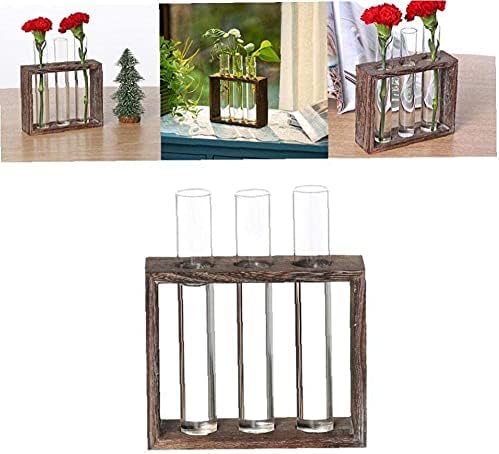 Tube Shape Glass Vase with 3 or 5 Holes Wood Stand Decoration Flower Vontainer for Hydroponics Plant Transparent Flower Arrangement Vase-3 Tube - Image 4