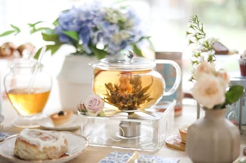 Teabloom Kyoto 2-in-1 Tea Kettle/Tea Maker – Heatproof Glass Teapot with Removable Loose Tea Filter – Tea Connoisseur's Choice - Image 2