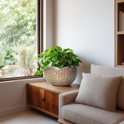 10 Inch Plant Pot - Ceramic Planter with Drainage Hole and Plug, Unique Round Planters for Indoor Outdoor Plants, Decorative Planters, Home Decor, Gardening Gifts for Women, Speckled-Brown - Image 6