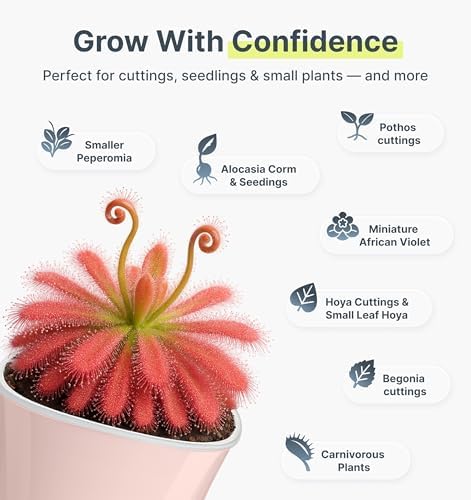 10 Pack 3" Self Watering Pots for Indoor Plants, Clear Inner Cup, Small Pink Plastic Planters, Water Level Indicator, Drainage Holes, Extra 3ft Wick, Cuttings,Seedlings,Herb,African Violet - Image 4