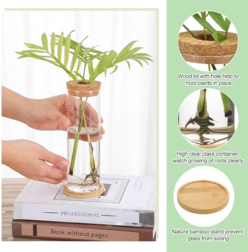 Honeydak 6 Pcs Plants Propagation Stations with Wooden Lid and Bamboo Stand - Image 4