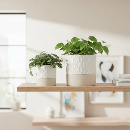 Nihow Ceramic Self Watering Plant Pot for Indoor Plants, 4.5+6 Inch - Image 7
