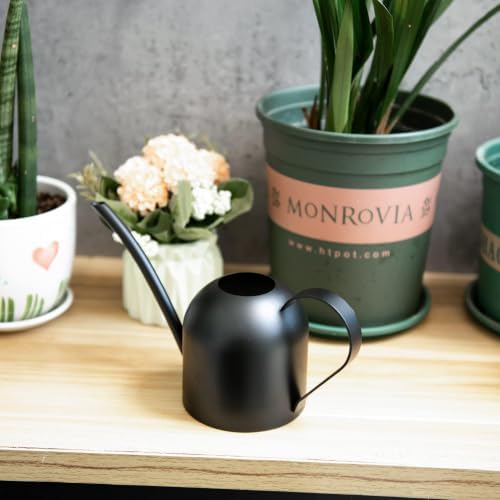 IMEEA Small Watering Can for Indoor Plants Stainless Steel Watering Can with Long Spout 15oz/450ml, (Black) - Image 6