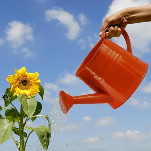 Watering Can Gardening Tool Accessories, Sprinkling Can 1L Metal Flower Garden Watering Can for Outdoor Indoor Plants Lawn Garden (Orange) - Image 2