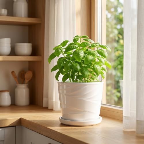 8 Inch Ceramic Plant Pot, White - Image 6