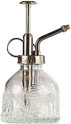 Plant Mister Glass Spray Bottle Small Plant Watering Can 6.4" Tall Retro Indoor Watering Can Bronze Plastic Top Pump for Garden Indoor Plant Sprayer (Transparent) by RUIFVJ