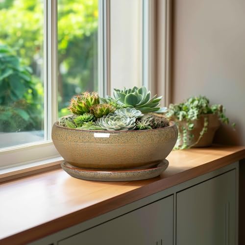 SQOWL Bonsai Planter, 10 Inch Ceramic Succulent Pots with Saucer, Brown - Image 4