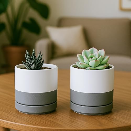D'vine Dev Set of 2 Plants Pots, 3.5 Inch Ceramic Planter Pot for Plants with Drainage Hole and Saucer, White/Speckled Grey, 94-V-A-6 - Image 3