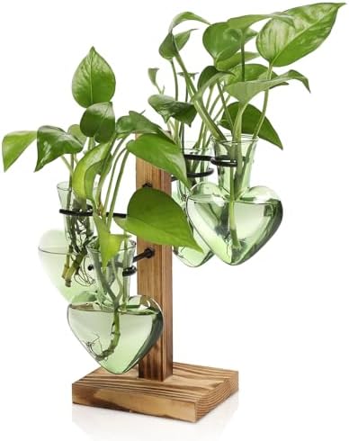 Plant Terrarium Propagation Stations with Wooden Stand by CYZglass