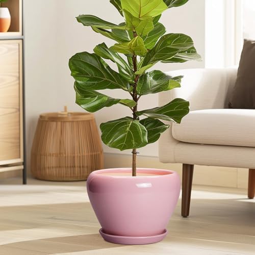 Ceramicfor Ceramic Modern Glaze Succulent Planter Pot with Drainage Hole and Saucer 8 Inch Round Flower Plant Pot for Indoor Outdoor Herb Snake Plants, Pink - Image 2